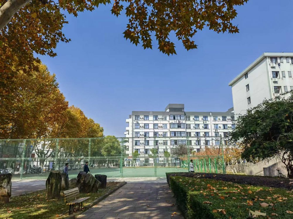 十六載歸程    母校秋意暖