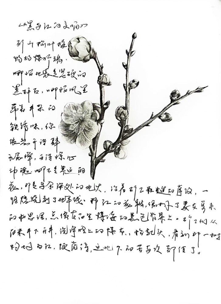 黑與紅的交響