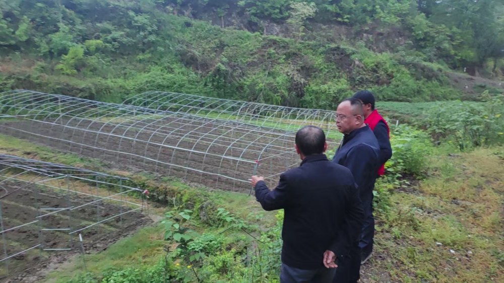 陜煤建設(shè)定點(diǎn)幫扶村：情系幫扶戶 共謀振興路