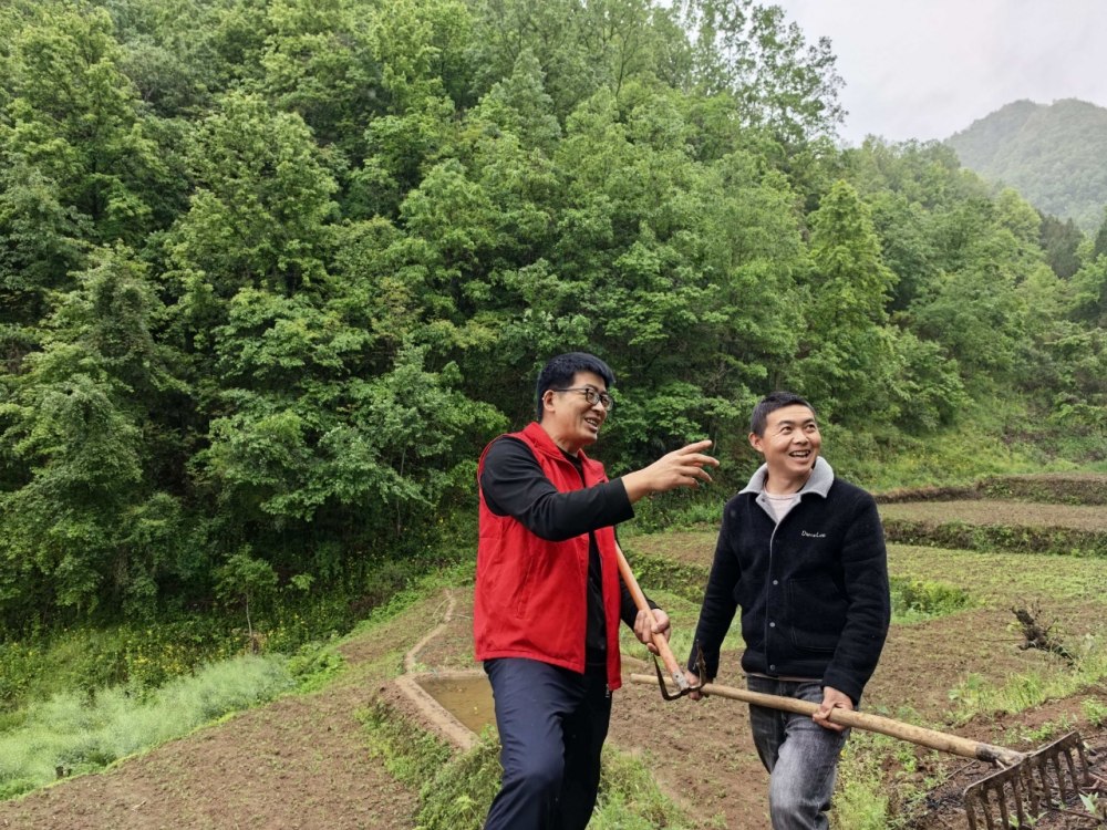 雨生百谷，情滿山村